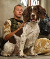 'Jamie' the vehicle search dog, with his handler, 2 July 2006