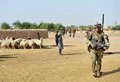 Operation COBRA BRAVEHEART, Helmand Province, Afghanistan, 2011
