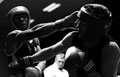 Boxing match in aid of Airborne Forces Charities, 2009
