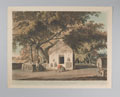 'The Sacred Tree of the Hindoos at Gyah, Bahar'