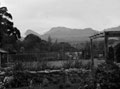 'Elgar. S. Africa', 3rd County of London Yeomanry (Sharpshooters) on shore leave in Cape Town, en route to Egypt, 1941