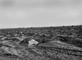 'Types of desert. Dried up river bed', North Africa, 1942 (c)