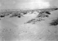 'Types of desert. Soft sand', North Africa, 1942 (c)