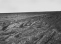 'Types of desert. Soft dust. Army centre line', North Africa, 1942 (c)