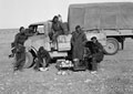 Members of 3rd County of London Yeomanry (Sharpshooters), North Africa, 1941
