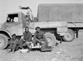 'Jimmy Sale, Reg Newland, Don Brenchley', 3rd County of London Yeomanry (Sharpshooters), North Africa, 1941