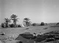 'Sidi Haneish', Egypt, 1942