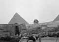 Giza, Egypt, 1942 (c)
