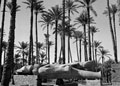 Statue of Rameses II, Egypt, 1942 (c)
