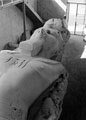 Statue of Rameses II, Memphis, Egypt, 1942 (c)