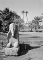 The Alabaster Sphinx at Memphis, Egypt, 1942 (c)