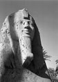 The Alabaster Sphinx at Memphis, Egypt, 1942 (c)