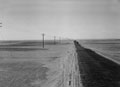 The road from Cairo to Alexandria, 1942 (c)