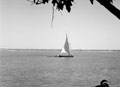 Felucca on the Nile, Egypt, 1942 (c)