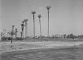 'Gezira Sporting Club. Golf Links', Zamalek, Egypt, 1942 (c)