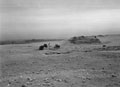 'Where the Desert joins the Delta', Egypt, 1942 (c)