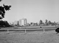 'Gezira Club. Rugger & Hockey grounds from the race-track', Zamalek, Egypt, 1942 (c)