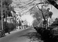 'Suburb of Heliopolis. British quarter of Cairo', Egypt, 1942 (c)