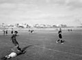 'Rugger', 3rd County of London Yeomanry (Sharpshooters), Egypt, 1942