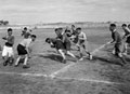'Rugger', 3rd County of London Yeomanry (Sharpshooters), Egypt, 1942