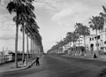 'Main Rd to Sidi Bishr from the entrance to Alex. Sporting Club', Egypt, 1942