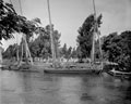 'Feluccas', Egypt, 1942