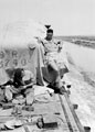 'On the flats', 3rd County of London Yeomanry (Sharpshooters), North Africa, 1942