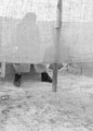 'The "usual offices"', North Africa, 1942