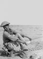 'Bill Palmer really needed a respirator', North Africa, 1942