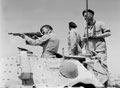 'Tommy gun practice', 3rd County of London Yeomanry, North Africa, 1942