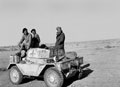 Recaptured Daimler 'Dingo' scout car, North Africa, 1942