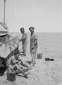 Crusader tank crew, 3rd County of London Yeomanry (Sharpshooters), North Africa, 1942