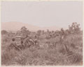 Maxim machine-guns of the Gold Coast Regiment, 1909 (c)
