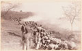 Firing line of the 14th Regiment of Bengal Infantry (Ferozepore Sikhs), Delhi Camp of Exercise, 1885-1886 (c)
