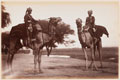 'Camel Sowars', the Delhi Camp of Exercise, 1886