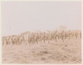 Gold Coast Regiment battery ready for march