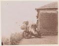 'Midday (7-pounder RML) Time Gun',  Gold Coast Regiment, 1906 (c)