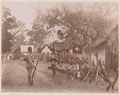Gold Coast Regiment resting in a village, 1906 (c)