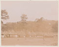 Recruits' lines, Kumasi, 1906-1908 (c)