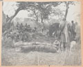 Men of the Northern Nigeria Regiment stop for a night's rest on the march from Waji, December 1902