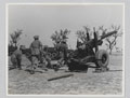 A demonstration by 1st Medium Regiment, Royal Regiment of Indian Artillery, February 1946