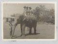 Three members of the King's African Rifles take a ride on an elephant, Ceylon, 1942