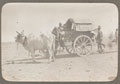 Ambulance cart, Waziristan, 1919 (c)