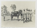 2nd Royal Battalion (Ludhiana Sikhs), 11th Sikh Regiment, in hot weather dress, Waziristan, 1936 (c)