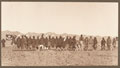 Hodson's Horse Shikar Club coursing meet near Loralai, Baluchistan, 1938