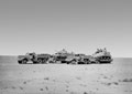 Diamond T tank transporters in the desert, Egypt, 1943 (c)