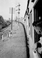 'Hospital train arriving at hospital Tel-el-Kebir', North Africa, 1943