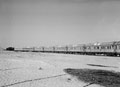 Hospital train, North Africa, 1943