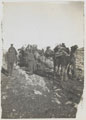 A wounded soldier of the Shropshire Yeomanry being transported by camel, 1917 (c)