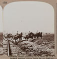 'Australian drivers galloping up to move the guns to forward positions during battle for Le Translov,' 1916